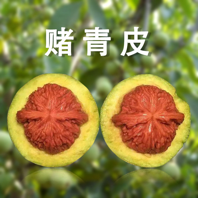 文玩核桃把玩狮子头赌青皮核桃手盘玩特大蛤蟆头三棱野生异形精品