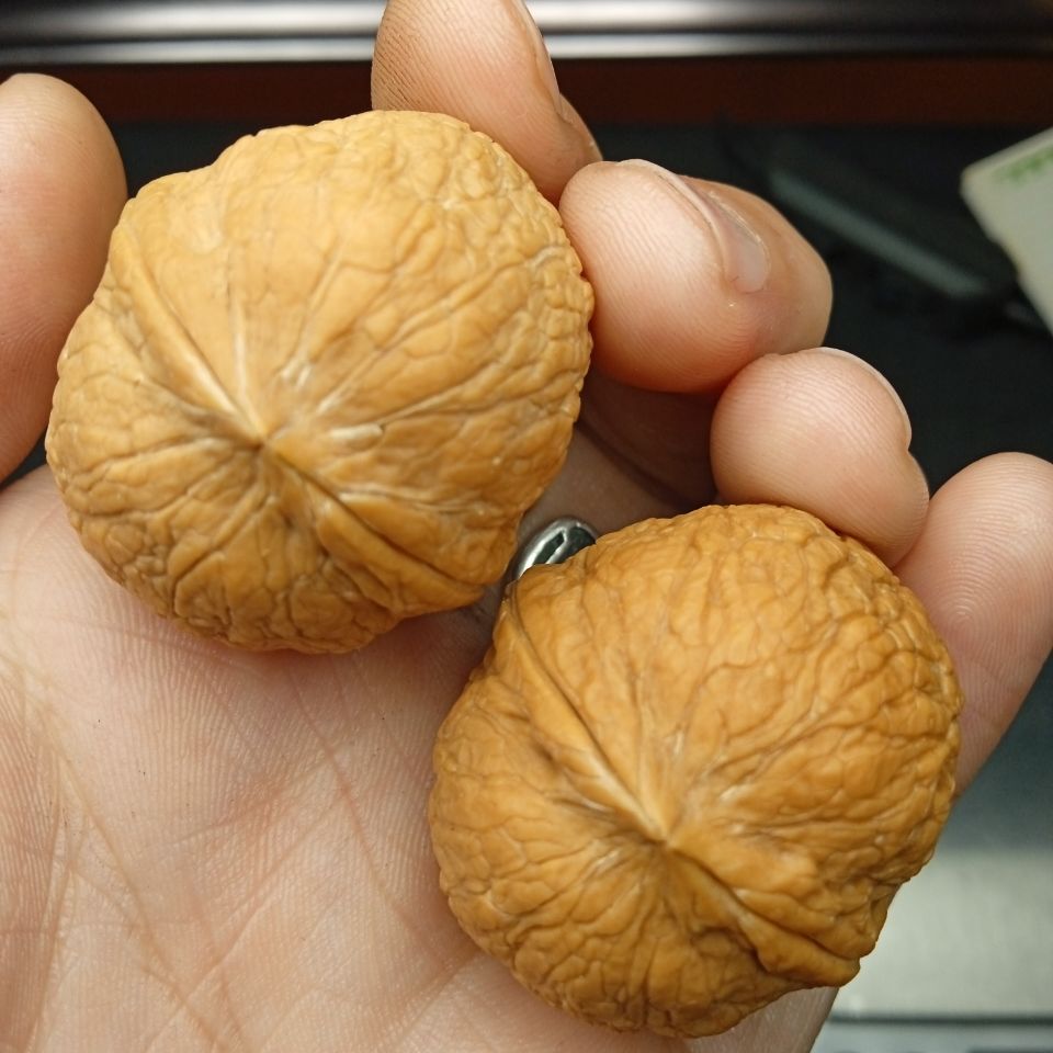 云南铁核桃文玩核桃手把件野生果蛇纹金蛋另有随机款式散子