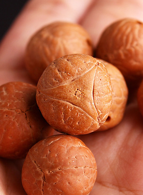 尼泊尔龙眼菩提麒麟眼原籽佛珠散珠凤眼黄皮文玩diy配件佛头佛塔