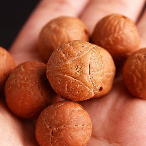 天然菩提子尼泊尔散珠麒麟眼原籽