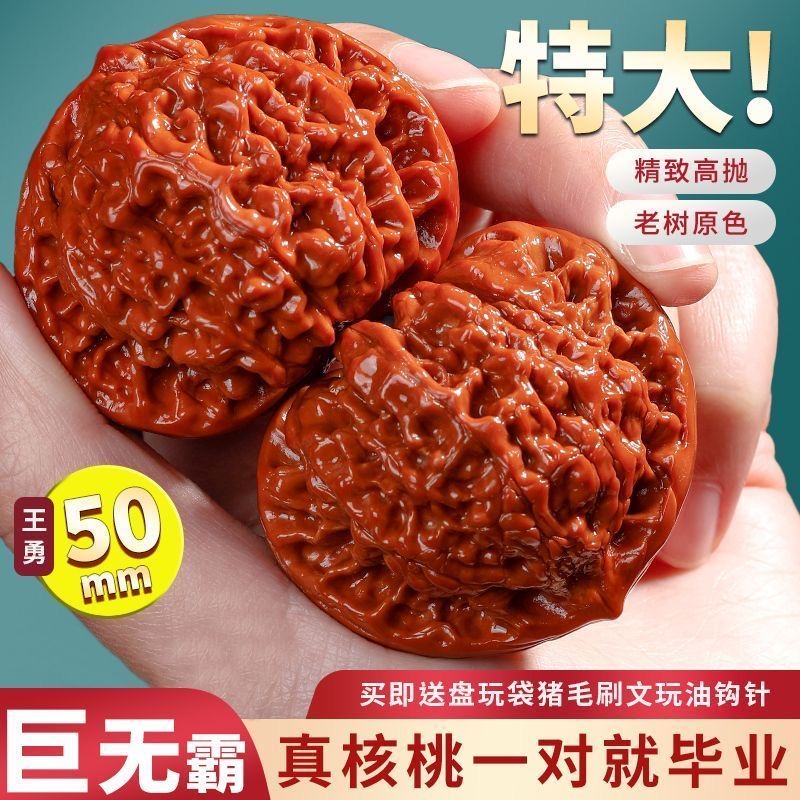 文玩核桃麒麟纹官帽野生核桃50-55盘玩白茬矮桩王勇