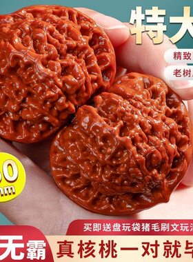 文玩核桃麒麟纹官帽野生核桃50-55盘玩白茬矮桩王勇