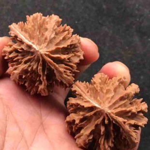 文玩核桃粗筋八棱灯笼狮子头核桃天然高密度皮质好刺多油性大男士