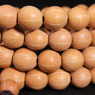 天台山五线菩提108颗佛珠野生树籽念珠手串精工无暇红皮高密文玩