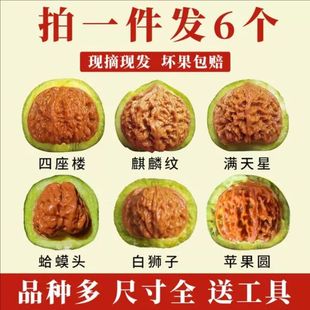 青皮蛤蟆头文玩核桃三棱四座楼狮子头磨盘宫灯苹果盘玩手把件官帽