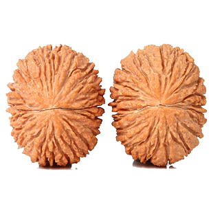 涞水天然文玩麻核桃金丝猴头小众手捻元宝顺纹姜黄皮随身盘大粗筋