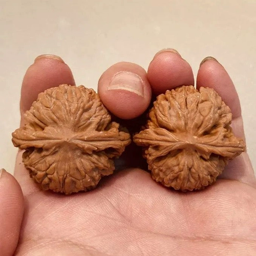 Wenwan Walnut Small Size White Lion Head Selected Products Мини рука скручивание четырех зданий поля шлифования бодхисаттвы женских моделей