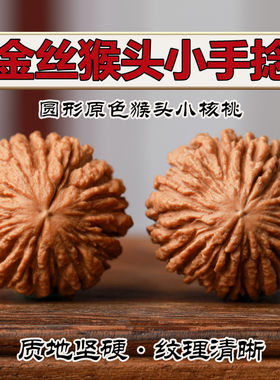 金丝猴头盘玩原色野外生近正圆