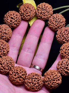 爆肉大金刚上手即红风铃子