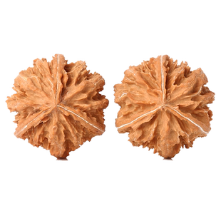 陕西小三棱正奔异形核桃三道筋手捻小尺寸扎手灯笼官帽盘玩手把件