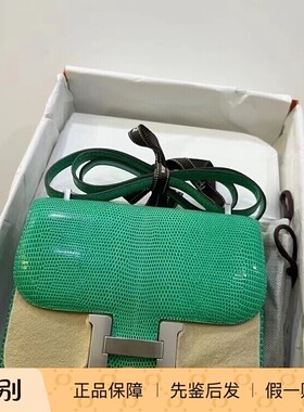康康mini薄荷绿蜥蜴皮单肩斜挎包