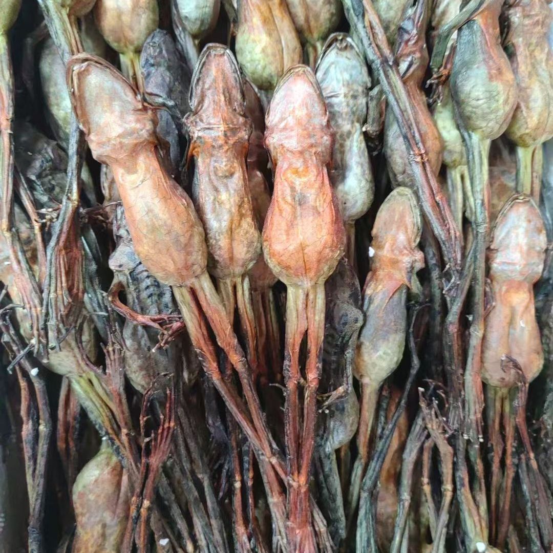 10送1小兴安岭雪蛤干东北蛤蟆油雪蛤干整只正品雪哈干货10g