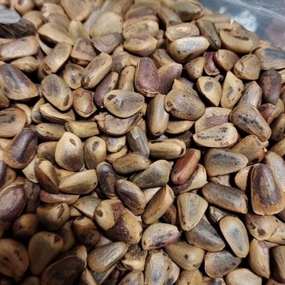 2025年新松子笨炒开口松子大颗粒开口松子原味散装称重送包装袋