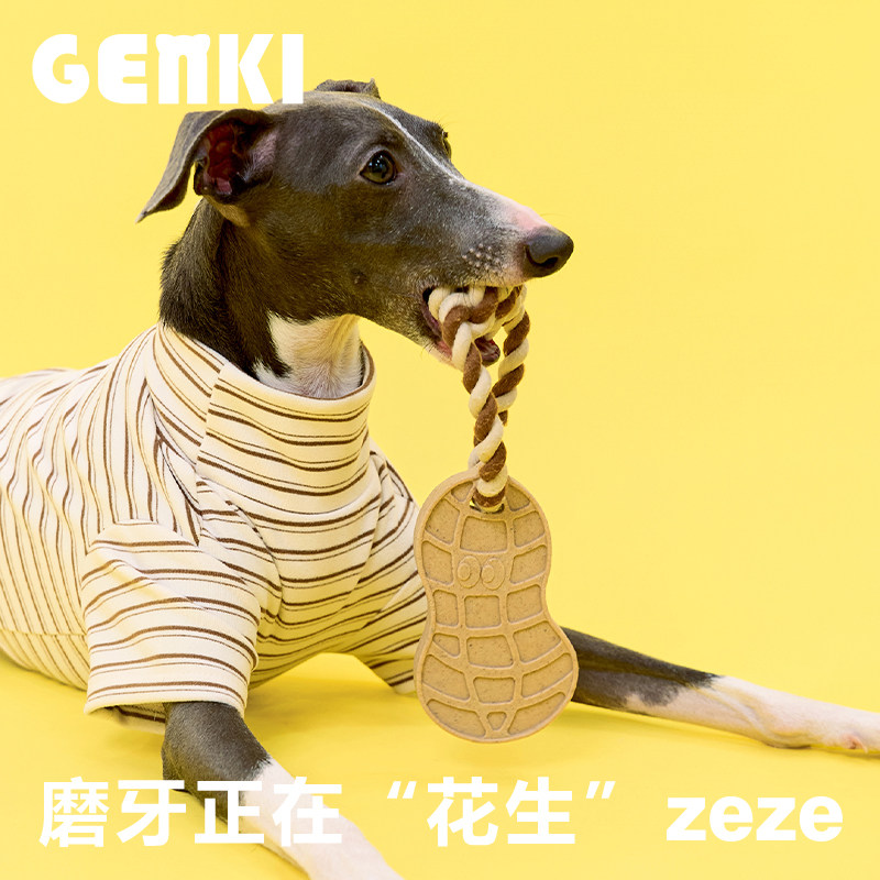 元気喵丨zeze花生狗狗磨牙棒小狗绳结玩具耐咬自嗨解闷宠物狗玩具
