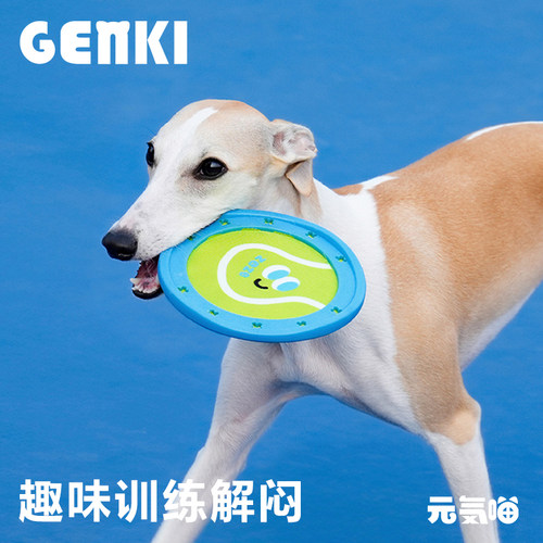 zeze狗玩具飞盘训练解闷