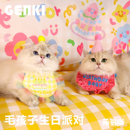 猫咪生日派对装饰品装扮狗狗帽子