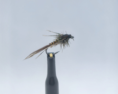 北京蜉蝣若虫 飞钓路亚用饵 湿蝇湿式毛钩飞蝇钓马口溪哥白条鳟鱼