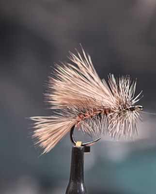 北京鳟鱼管理场  精绑刺激者干蝇 干式钩 泛用飞蝇饵