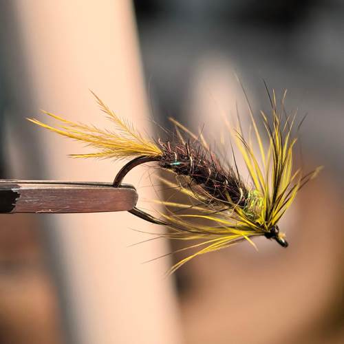 溪流鳟鱼管理场软蓑羽大号湿蝇毛钩 飞钓用饵 鳟鱼湿蝇飞蝇钓