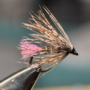 北京溪流鳟鱼管理场山鹑毛软蓑羽毛钩 飞钓用饵 湿蝇毛钩飞蝇钓