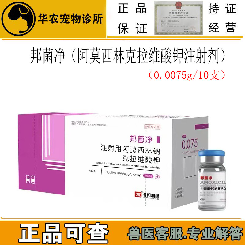 邦菌净阿莫西林克拉维酸钾针剂猫皮肤病药品正品宠物速诺针0.075g