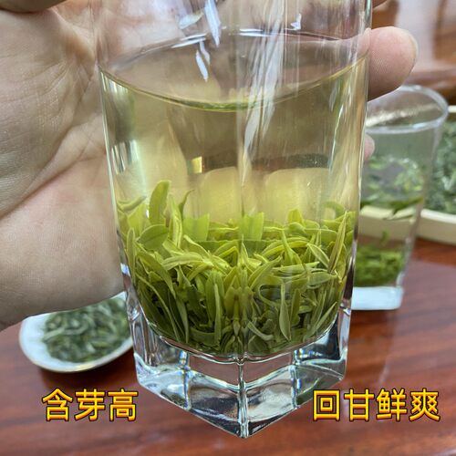高端碎茶雨花雀舌蒙顶山茶浓香型