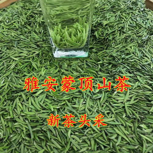 雀舌明前雅安蒙顶山茶2024新茶