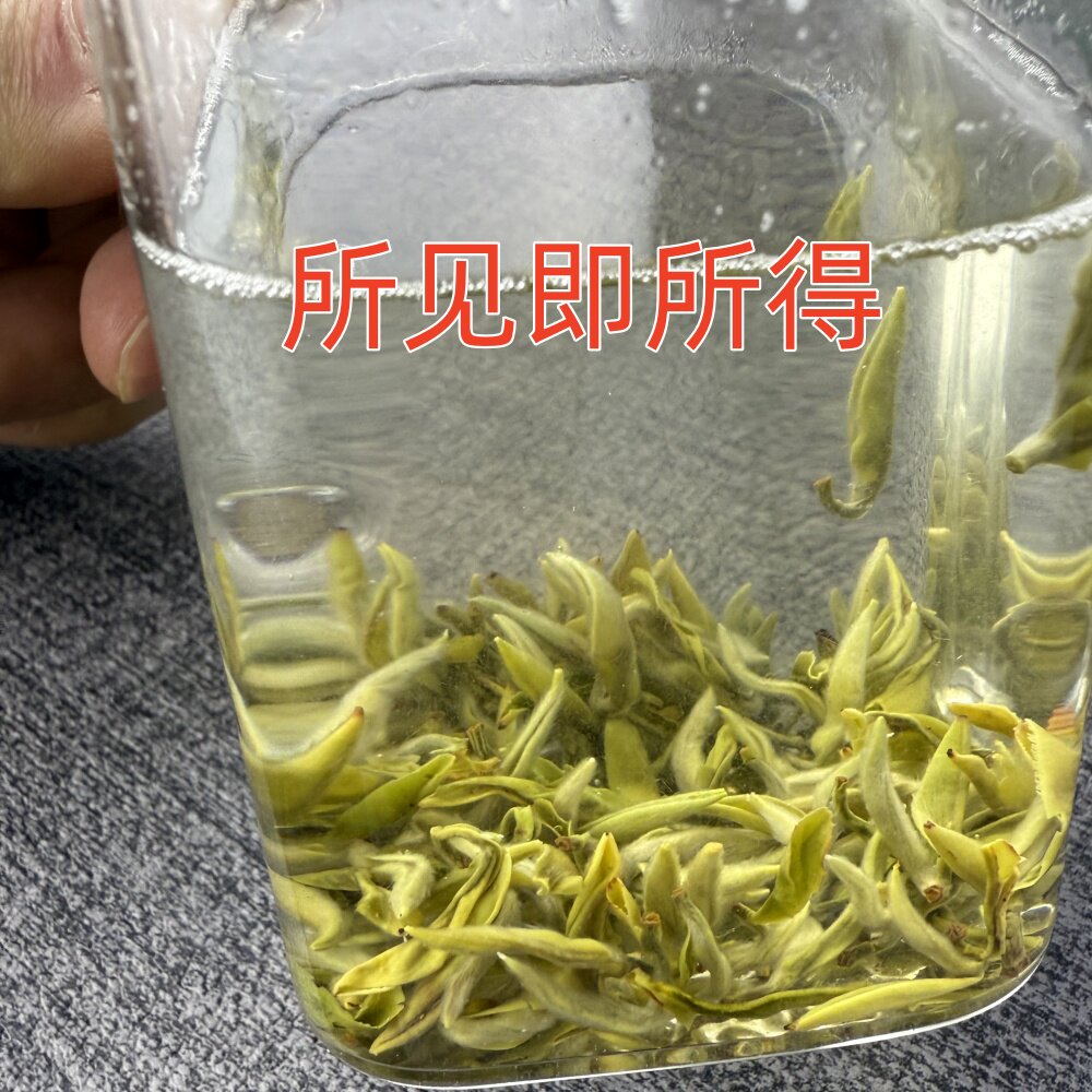 蒙顶山甘露2026新茶浓香绿茶