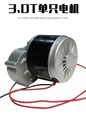 电动地牛搬运车改装电机配件，诺力西林手动叉车改装电动3吨电机