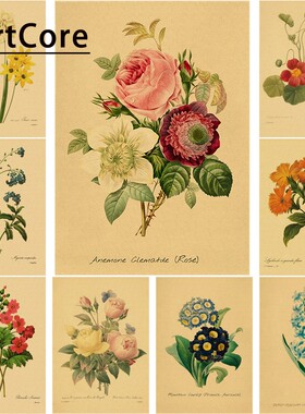 Flowers Illustrations Retro Poster Prints Vintage Rose Aesth
