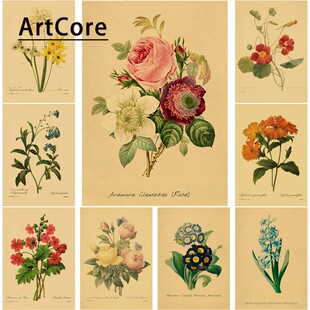 Flowers Illustrations Retro Poster Prints Vintage Rose Aesth