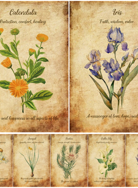 Flower Language Retro Home Room Decor Aesthetic Art Poster