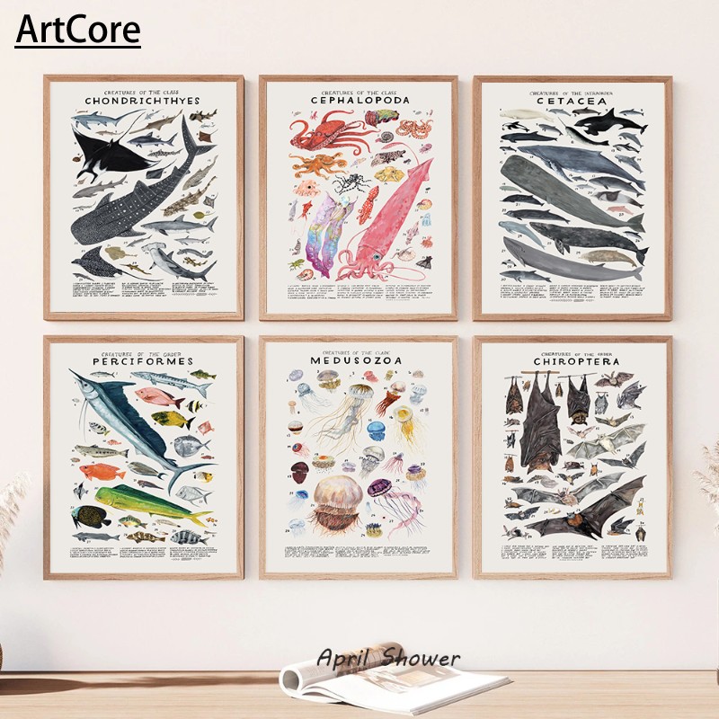 海洋生物水母鲸鱼鱿鱼海报艺术