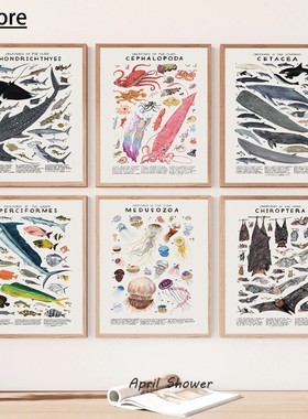 Marine Organisms Jellyfish Whale Squid Fishes Posters Art