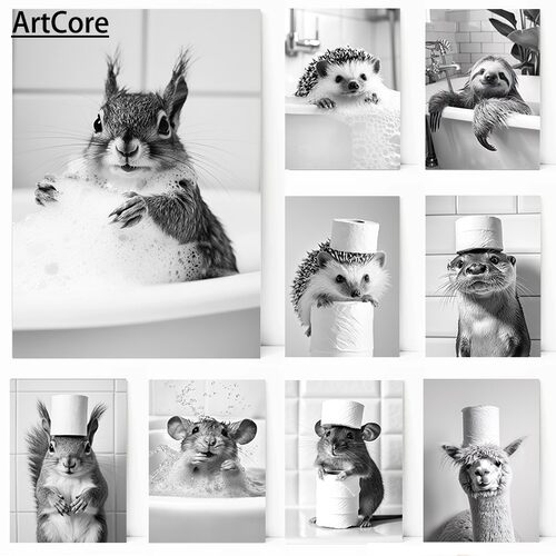动物和卫生纸海报猫刺猬树懒壁画