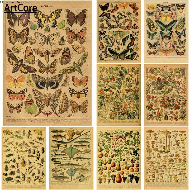 Butterfly Insect Flower Mushroom Poster Botanical Art Poster