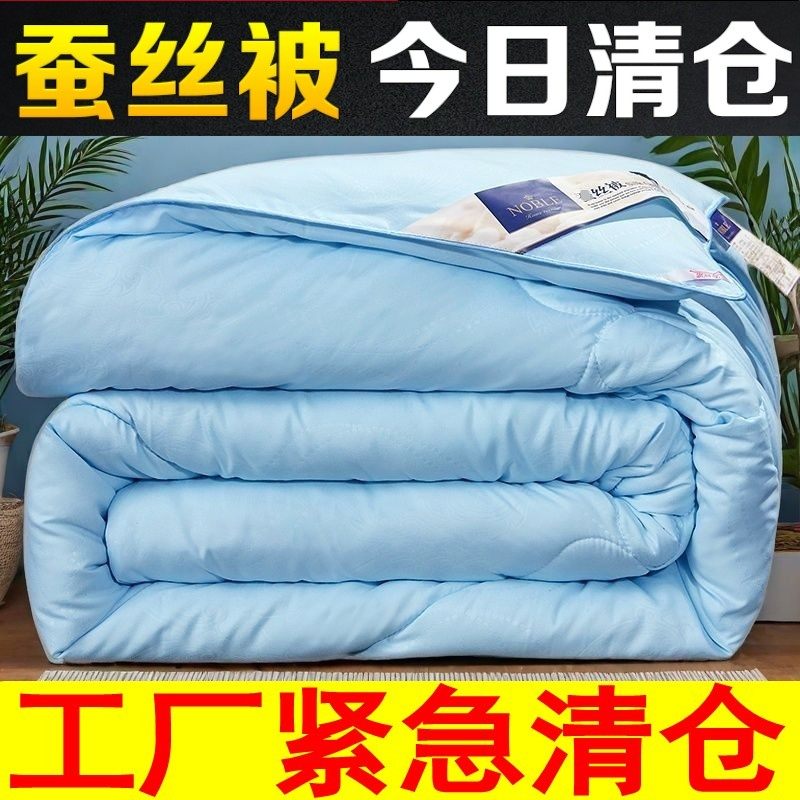 加厚保暖蚕丝冬被芯春秋被子清仓