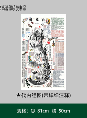 古代内经图(带详细注释) 高清复制艺术微喷宣纸印刷装饰字画