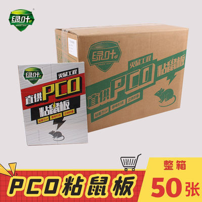 绿叶粘鼠板灭鼠工程直供PCO粘鼠板强力捕鼠贴老鼠胶沾鼠贴一箱50