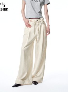 【商场同款】太平鸟女装2025夏季新款垂感阔腿牛仔裤A1HAF2497