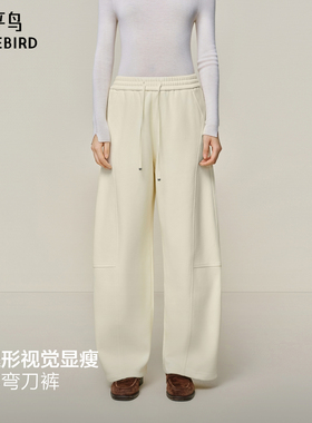 【商场同款】太平鸟2025年冬季新款宽松阔腿直筒休闲裤A1GBF4492