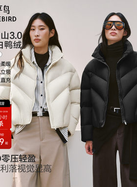太平鸟15D发热立领羽绒服女