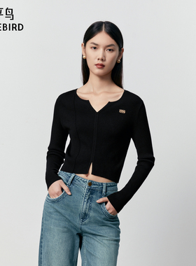 太平鸟女装2024年冬季款百搭打底线套衫A3EED4148