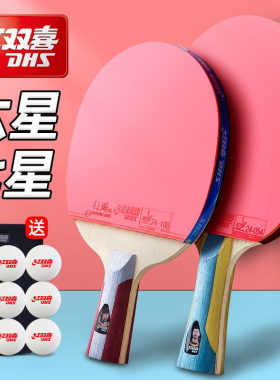红双喜乒乓球拍专业款五星级六星兵乓球拍56七星八星九星狂飙单拍