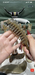 白水牛角海参背筋络梳