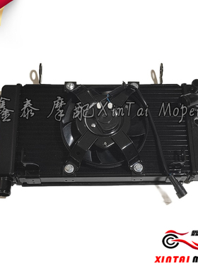 黄龙BJ600GS/TNT600/BN600i水箱散热器机油油冷器风扇