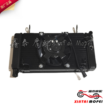 钱江新老款黄龙600散热器水箱风