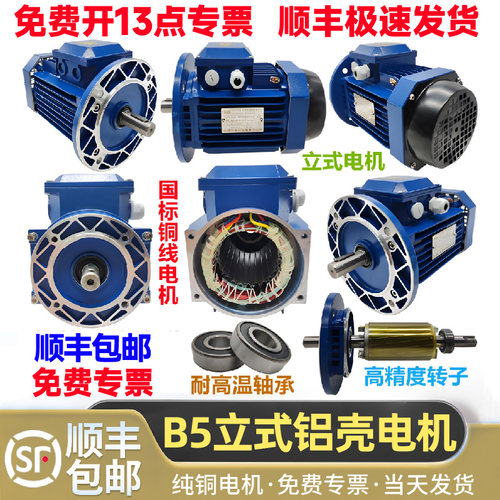 大洲浦惠B5YS立式三相4极铜线芯