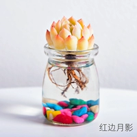 Гидропонный красный края луна тень