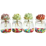 Гидропоновый сочный внутренний растение гидропонная растение стеклянная бутылка сочные растения комбинированная цветочная кафе -горшок с горшками